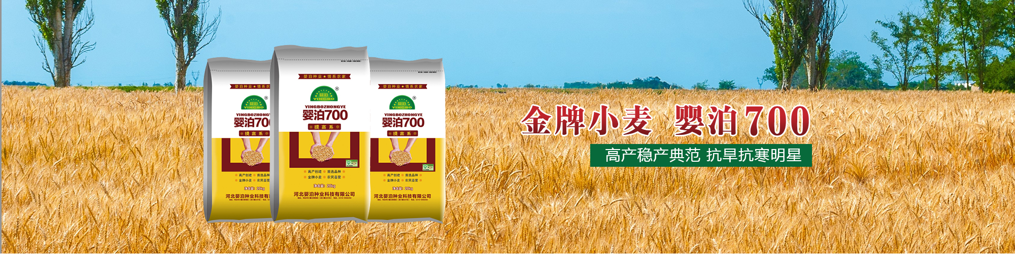 新鄉市富皓機械設備有限公司